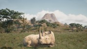 Captura 2 de Animalia Survival