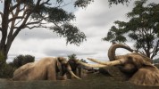 Captura 4 de Animalia Survival