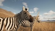 Captura 5 de Animalia Survival