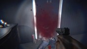 Captura 2