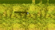 Captura 1