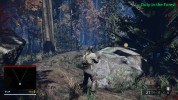 Captura 3