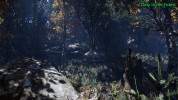 Captura 5