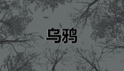 乌鸦 - Crows